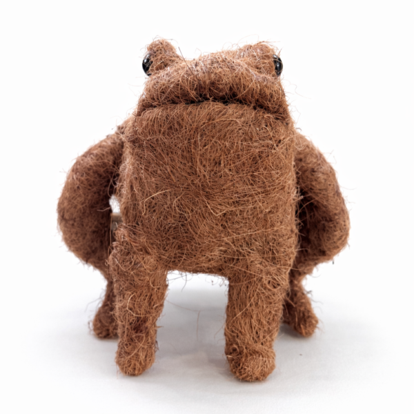 Frog Coir Planter | Plastic Lined | Fits 9–12cm Pot - Image 2