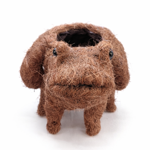 Frog Coir Planter | Plastic Lined | Fits 9–12cm Pot - Image 3