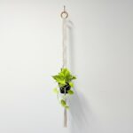 Natural cotton macramé plant hanger with wooden ring holding a small black nursery pot with trailing plant, total length 0.8 metres, displayed against a white wall.