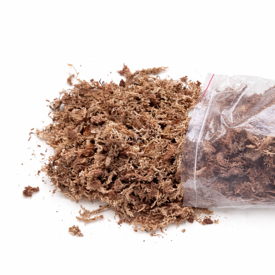 Mosspole fillin 2L Sphagnum moss and buffered coco chunks moss pole filling mix spilling from a clear bag onto a white background.