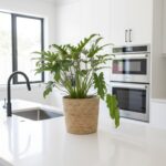 Large handwoven natural seagrass plant basket with green plant on white surface in modern kitchen