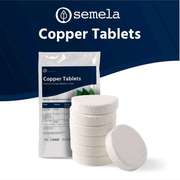 Semela Copper – Water-Soluble Fungal disease Prevention - Image 4