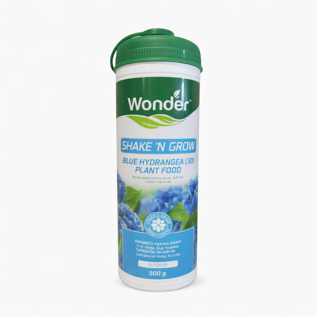 Shake and Grow Blue Hydrangea