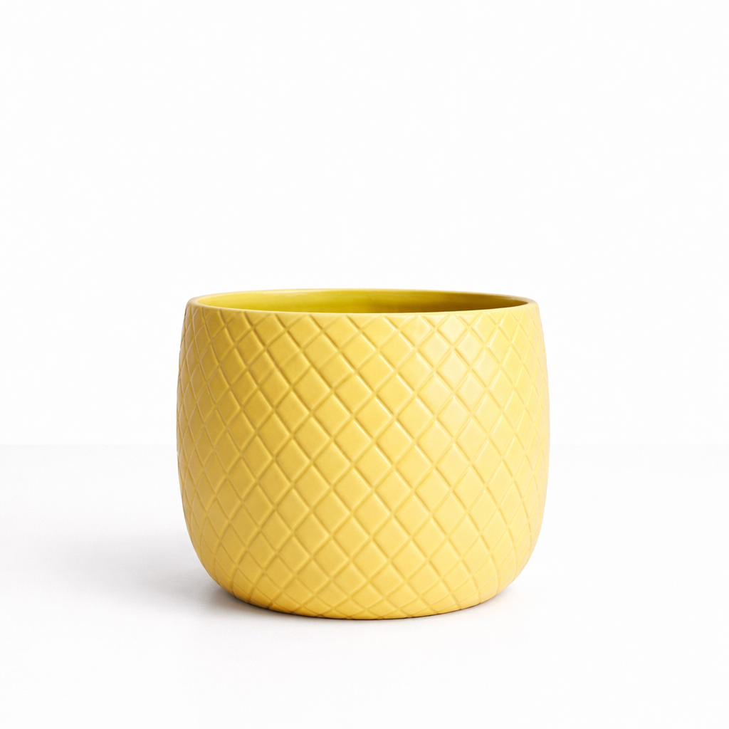 Yellow pot medium Matt yellow ceramic planter with raised crosshatch pattern on a white background.