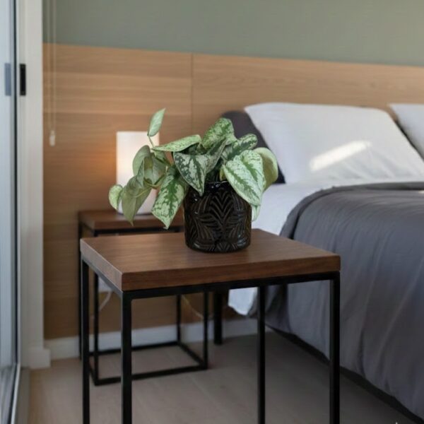 Patterned Ceramic Pot | Glossy Black | 15.5cm | Textured Tropical Planter - Image 2