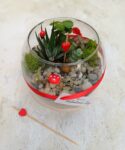 Sweetheart Succulent Globe | Long-Lasting Potted Succulent Gift | Decorative Indoor Plant