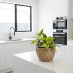 Small round natural seagrass woven basket with upright woven handles and plant in on white counter in modern kitchen