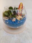 Life's a Beach Terrarium with Succulents – Beach/ Surf-Themed Mini Garden Arrangement | Decorative Glass Terrarium