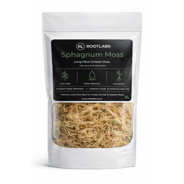 cropped-rootlabs_moss_1to1_v2.png