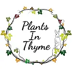 Plants in Thyme Boutique Nursery