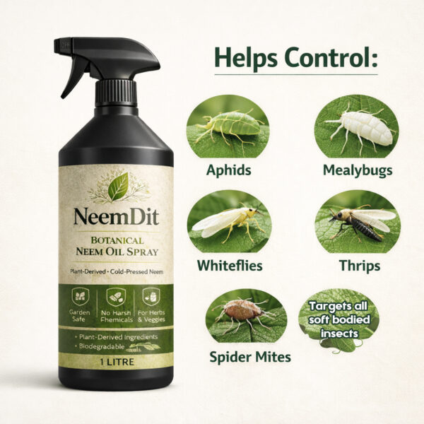 NeemDit Ready-to-Use Neem Oil Spray 1L - Natural Plant Pest Deterrent - Image 3