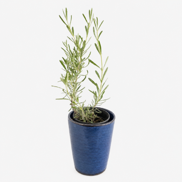 Blue Pot
