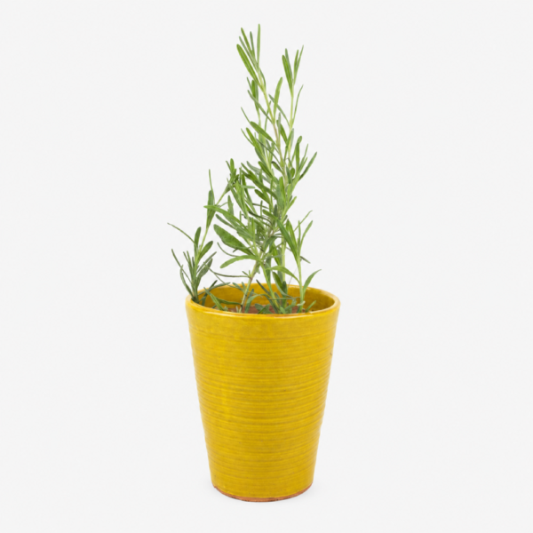 Yellow Pot