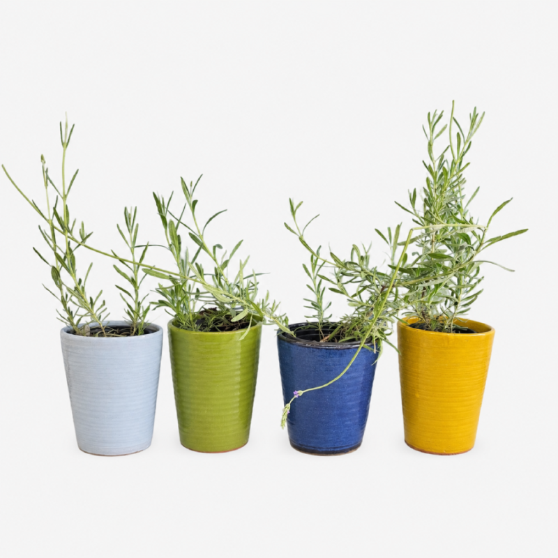 All Color Pot