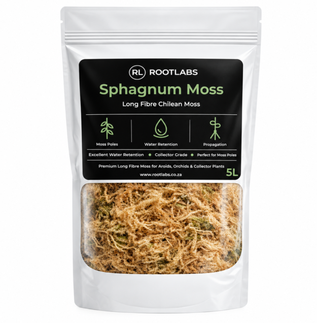cropped-MOSS.png
