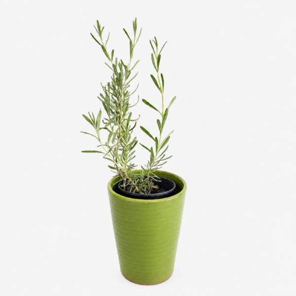 Green pot