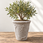 Khoisan Heritage Planter | Lightweight Whitewashed Concrete | W 68 × H 70 cm