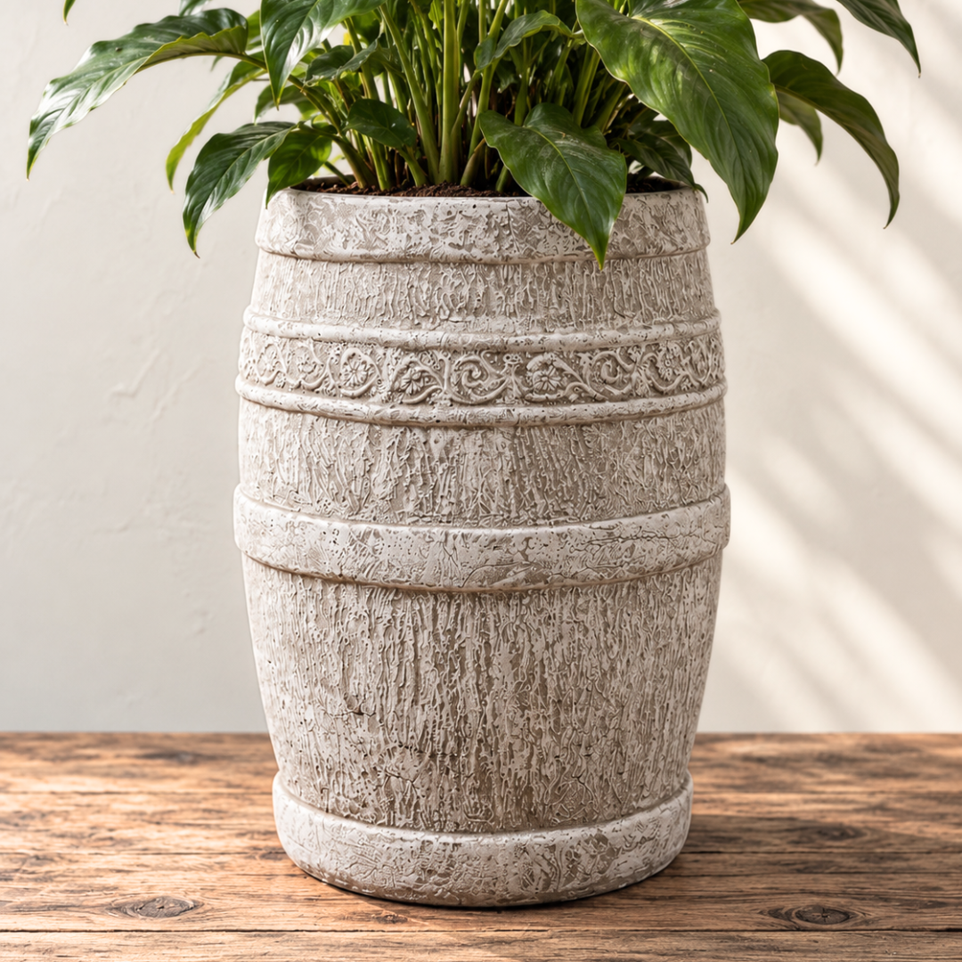 Crassula pellucida