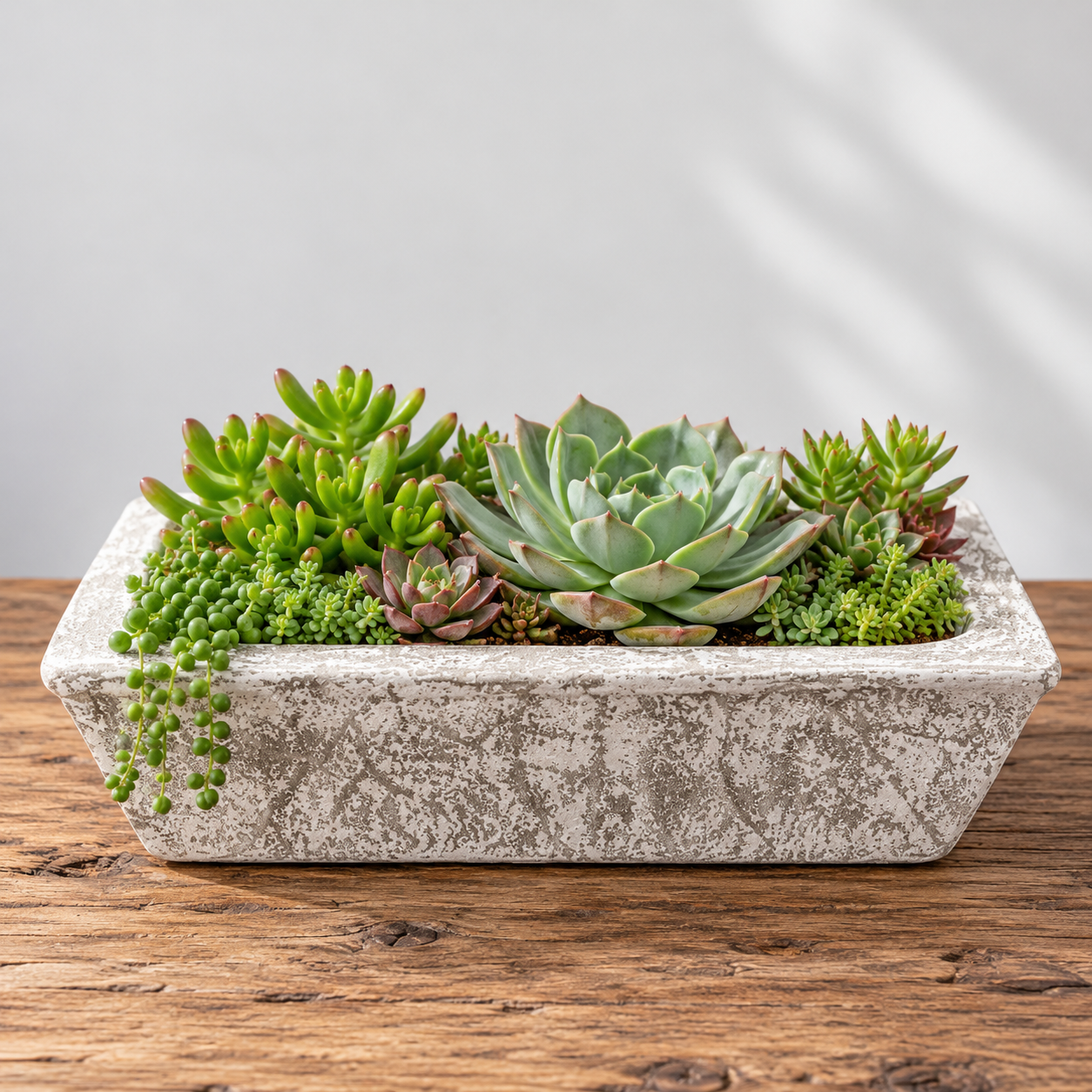 Rustic Concrete Planter Succulent Garden