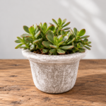 Round Planter | Lightweight Whitewashed Concrete | W 33 × H 23 cm