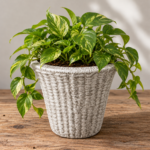 Weaved planter | Lightweight Whitewashed Concrete | W 30 × H 29 cm