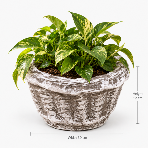 Woven Basket Planter | Lightweight Whitewashed Concrete | W 37 × H 15 cm - Image 2