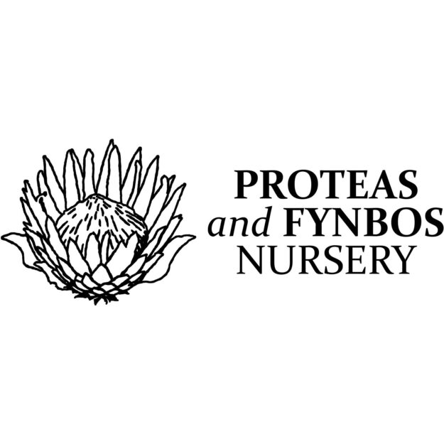 Proteas and Fynbos